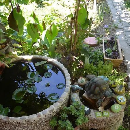 Avcihan Tas Ev Oda ve Kahvaltı 3*